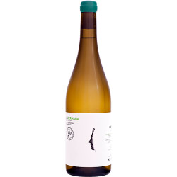 VINO BLANCO LA GERMANA DE PASCONA DO MONTSANT 2021